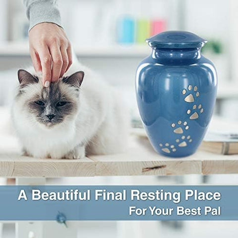 Pet Cremation Urn for Dogs & Cats Ashes, Blue