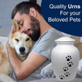 Pet Cremation Urn for Dogs & Cats Ashes, White
